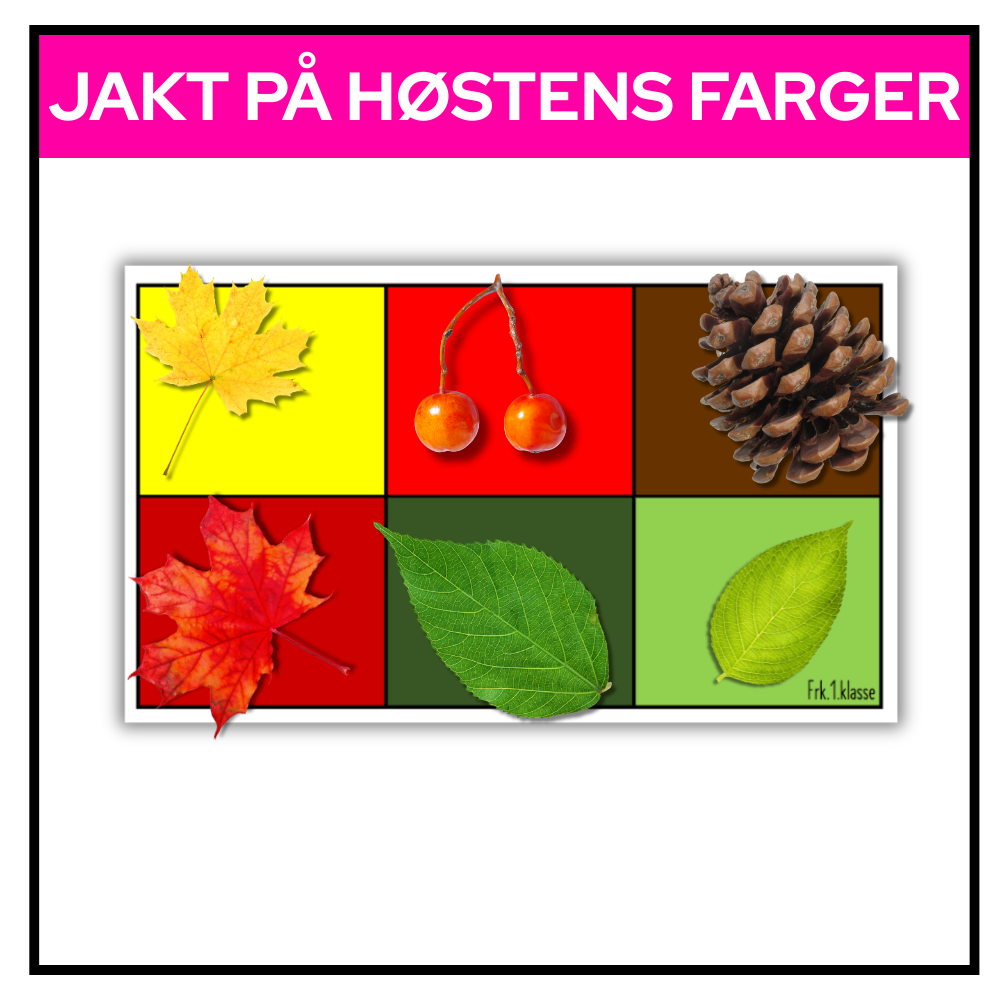 Oppgaveark med seks ruter i høstfarger der elevene kan legge funn fra naturen som passer til hver farge.