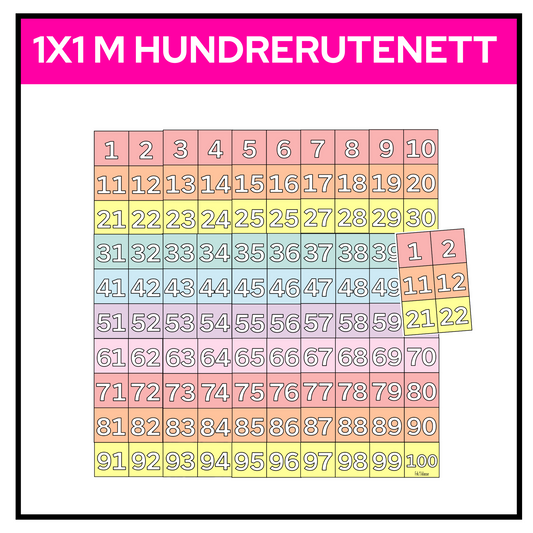 Hundrerutenett | STORT (ca 1x1 m) til vegg | PASTELL