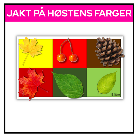 Oppgaveark med seks ruter i høstfarger der elevene kan legge funn fra naturen som passer til hver farge.