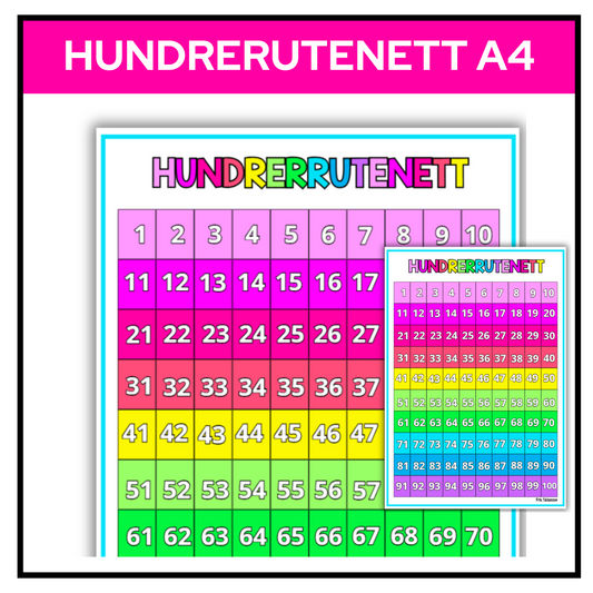 Hundrerutenett | Visuell støtte | A4 | Regnbue med rosa